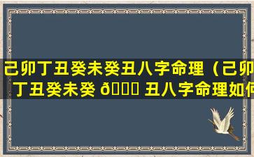 己卯丁丑癸未癸丑八字命理（己卯丁丑癸未癸 🕊 丑八字命理如何）